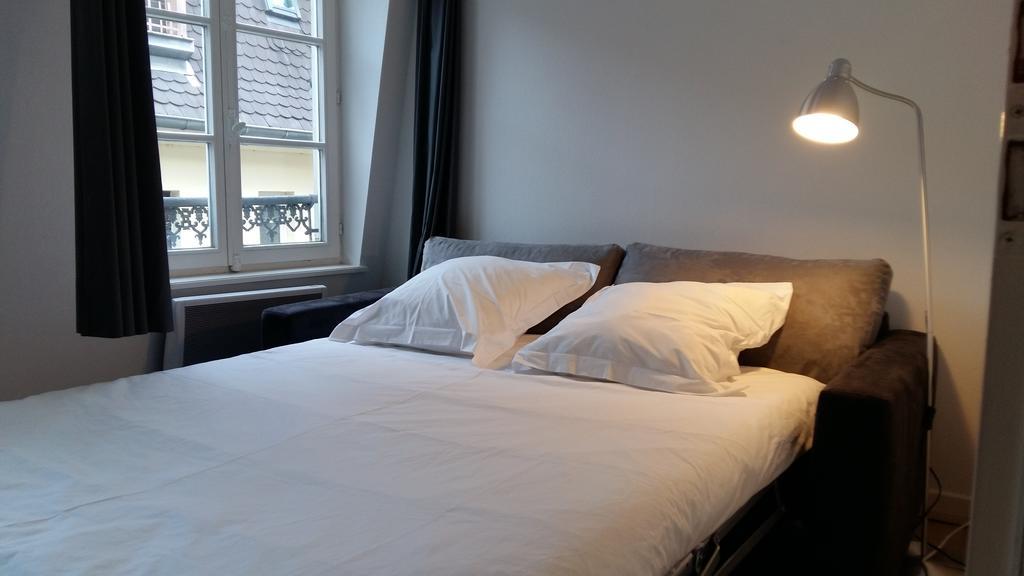 Les Appartements Place De La Cathedrale 斯特拉斯堡 外观 照片